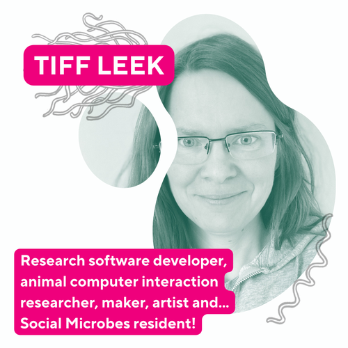Photo of Tiff, with her name and text reading 'Research software developer, animal computer interaction research, maker, artist, and... social microbes resident'. There are also two small sketched images of microbes.