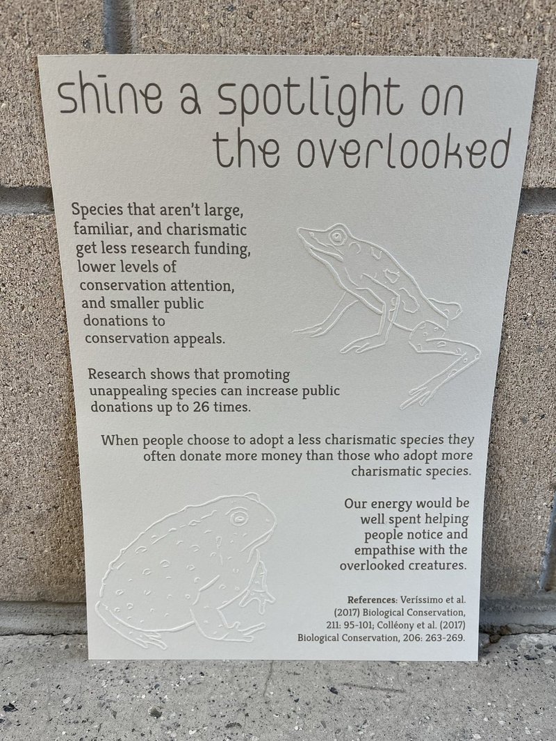 print with two embossed toads